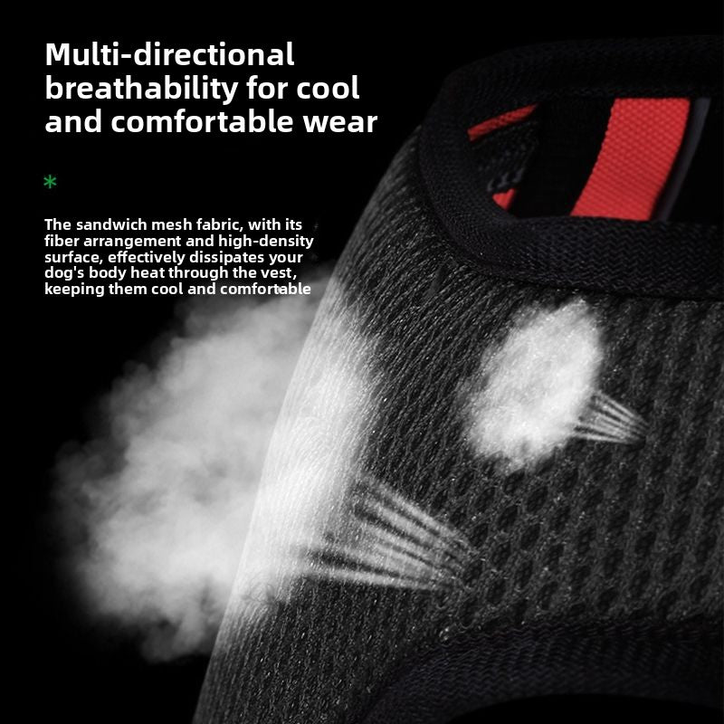 Reflective Dog Harness and Leash