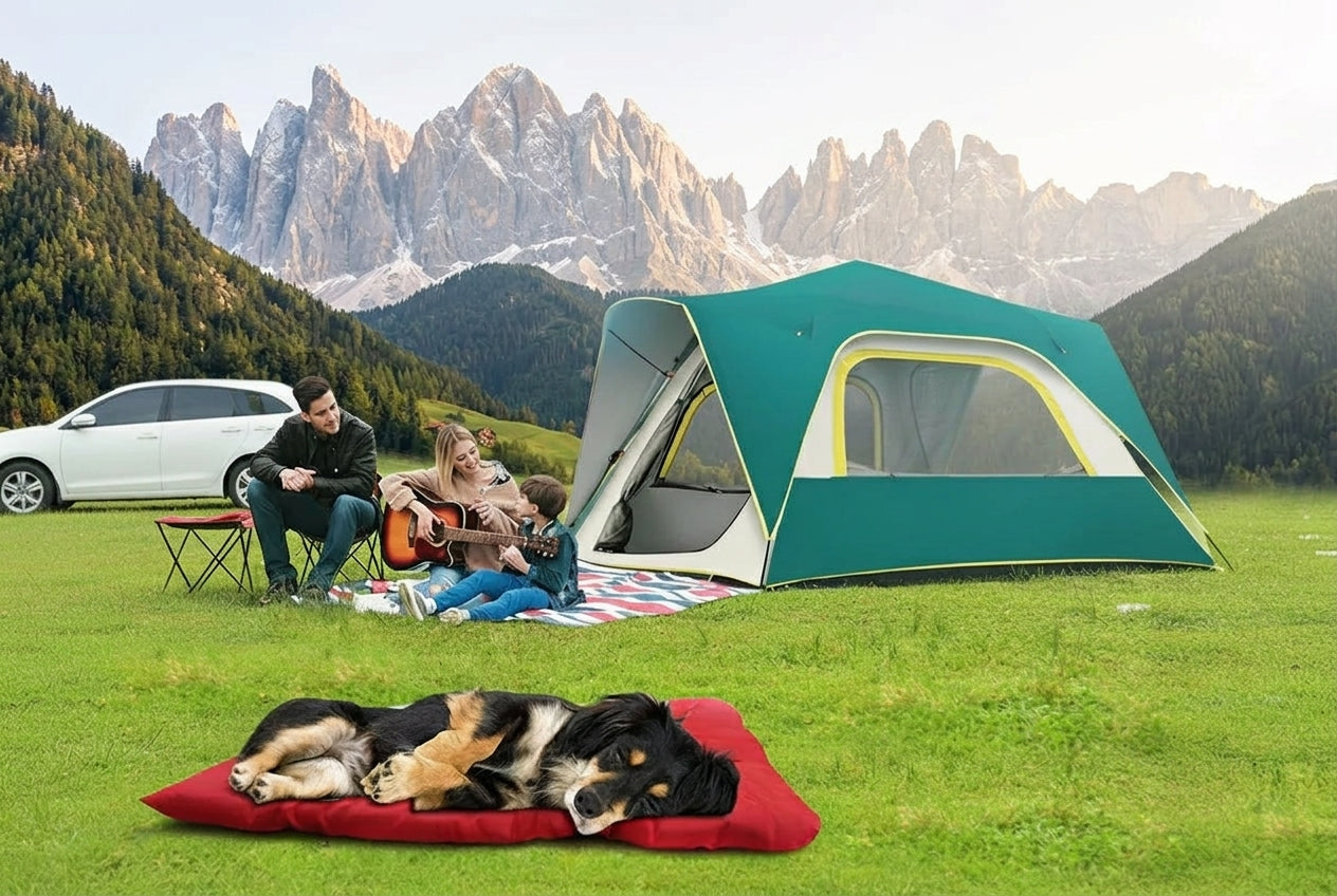 Dog Camping Gear