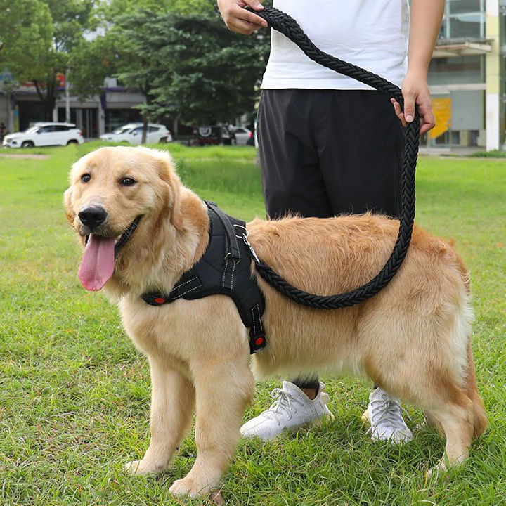Adventure Dog Harness for hiking