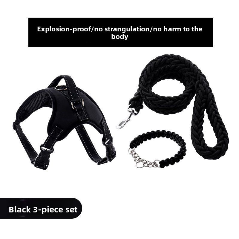 Adventure Dog Harness with Leash