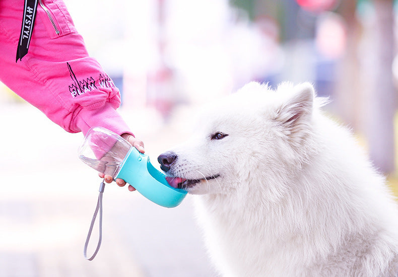 Lightweight Dog Water Bottle