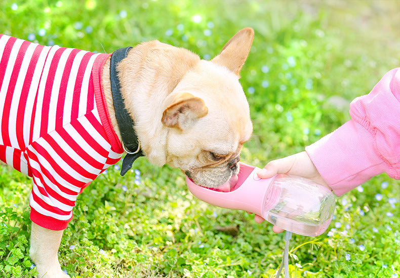 Lightweight Dog Water Bottle